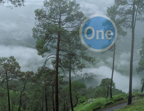 A Romantic Escape : Ooty 3 Night 4 Days